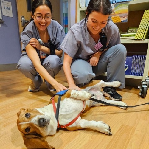 Two clinicians smile as they pet a therapy dog on the unit.